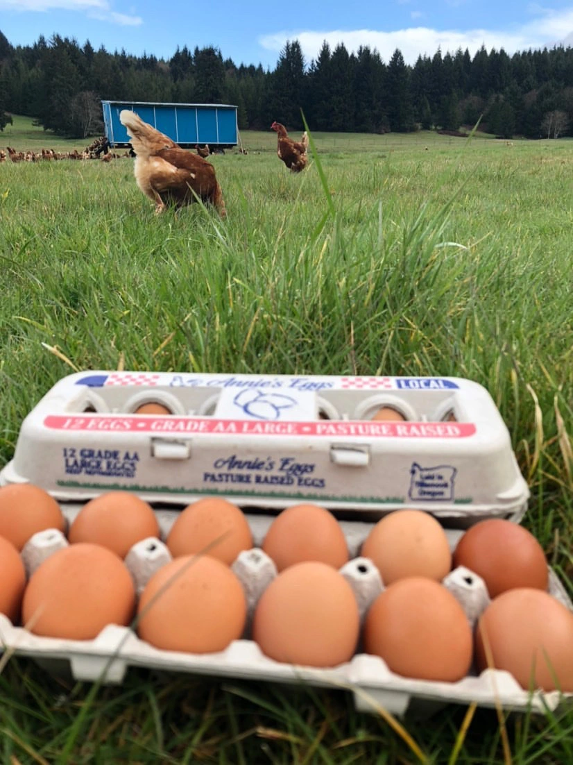 Eggs