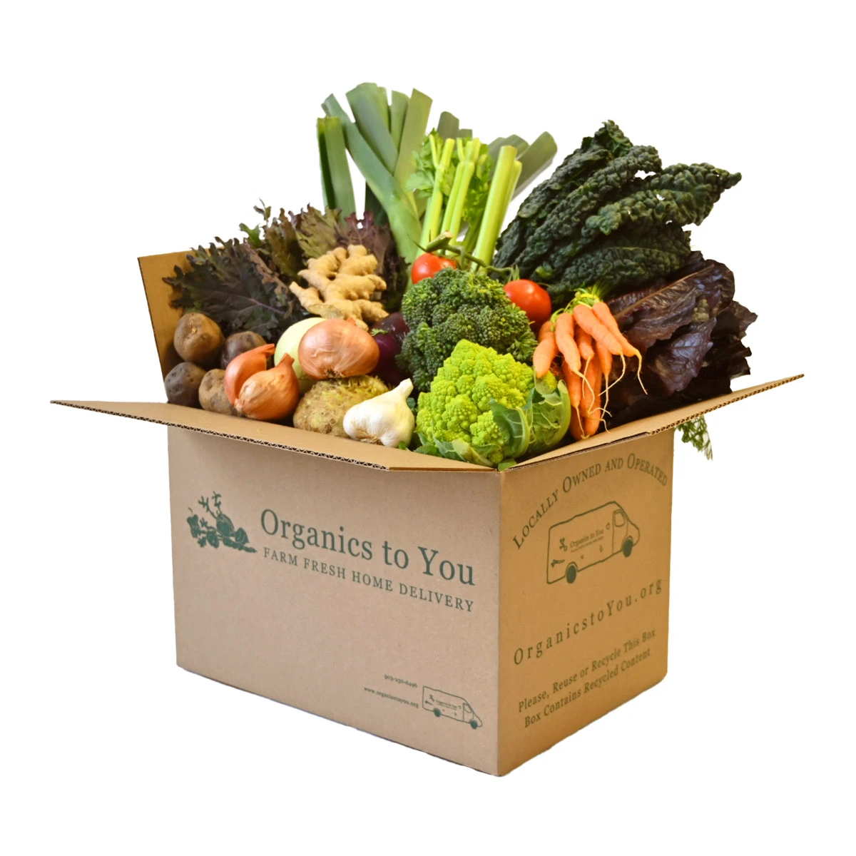 All Veggie Bin