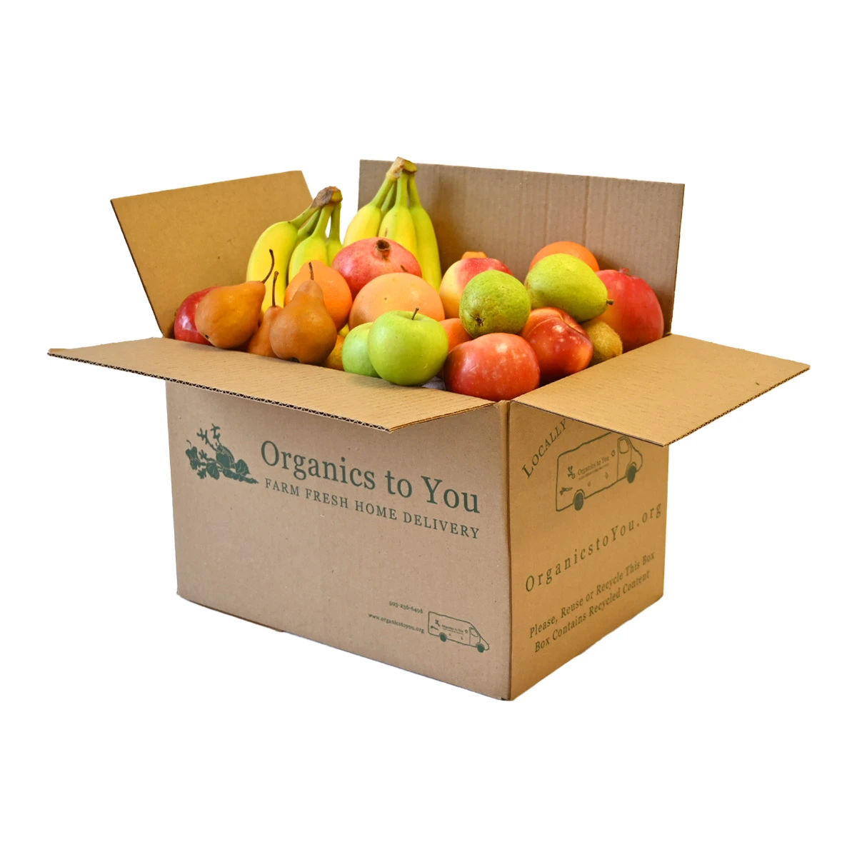 All Fruit Bin
