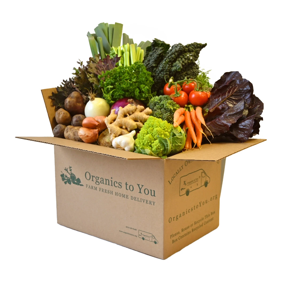 Large All Veggie Bin