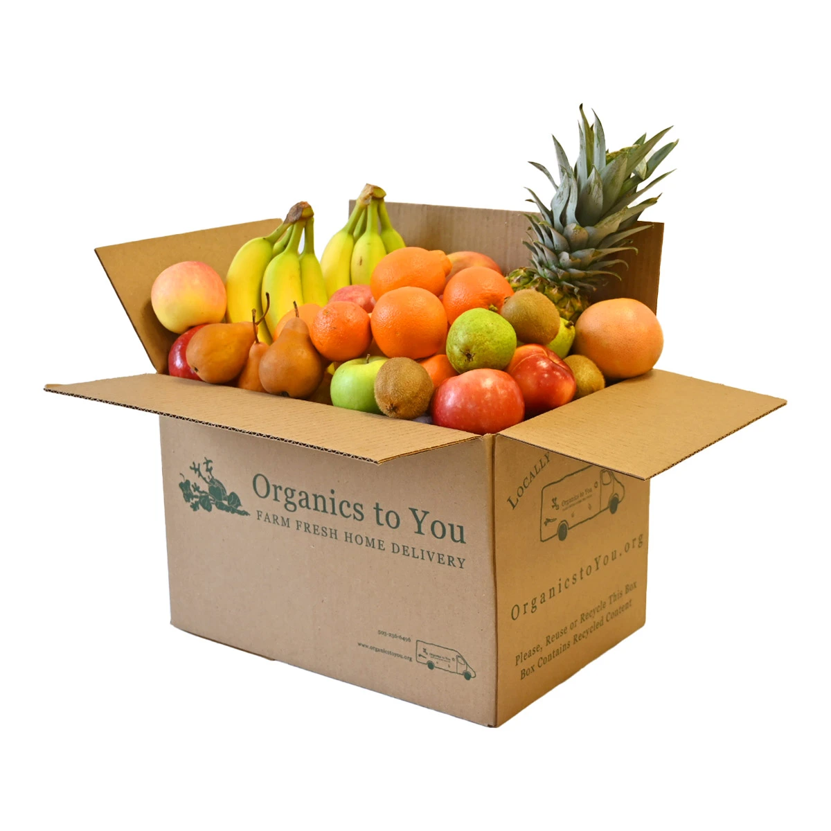 Large All Fruit Bin