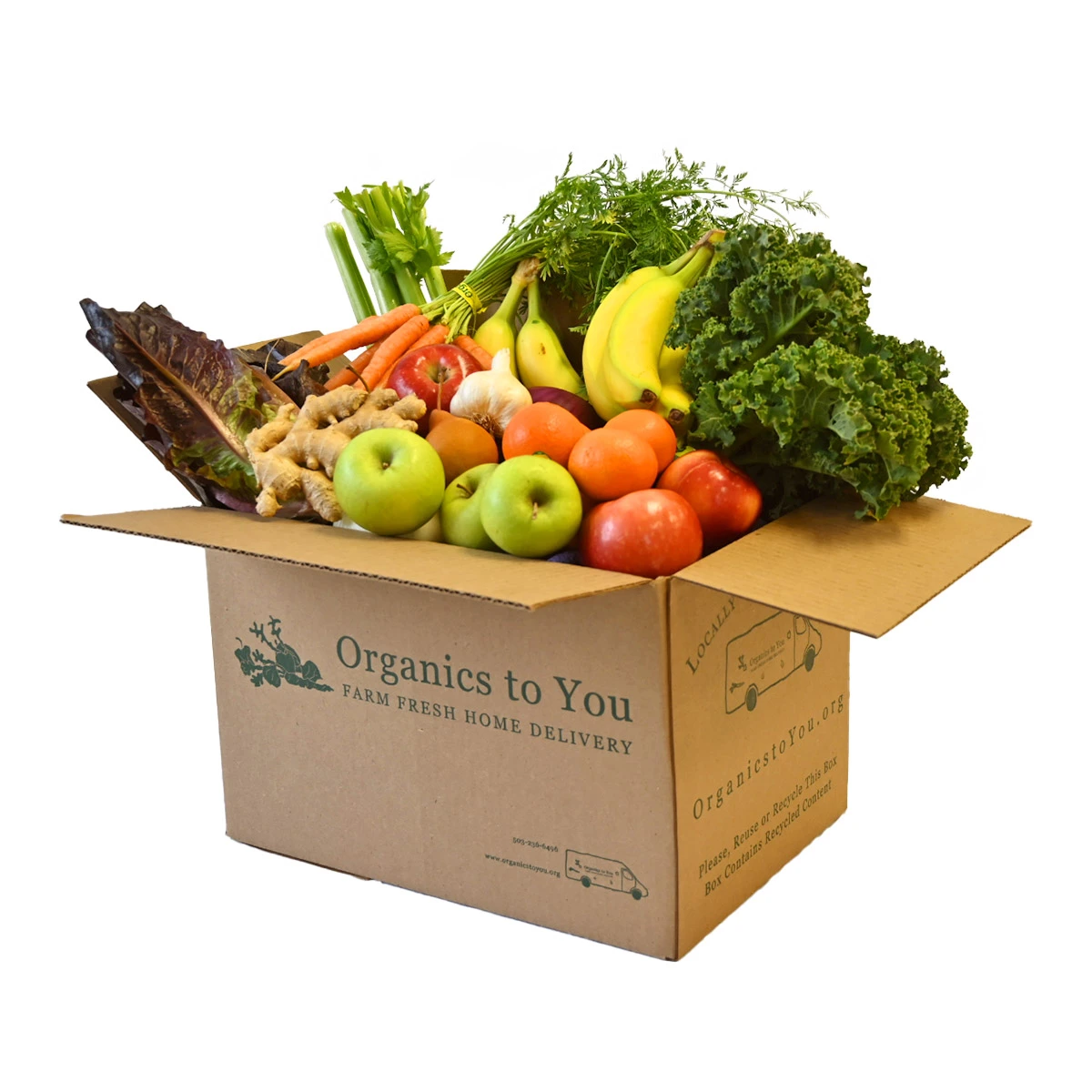 Juicer Bin