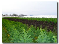 Denison Farms