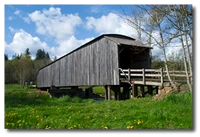 Glory B Farms