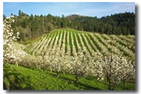 Ken Newman Farm