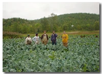 Persephone Farms