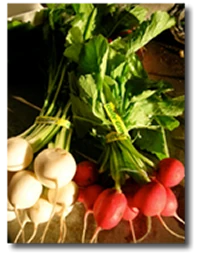 Spring Hill Farm